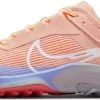 Zapatillas Para Trail Nike Air Zoom Terra Kiger 8